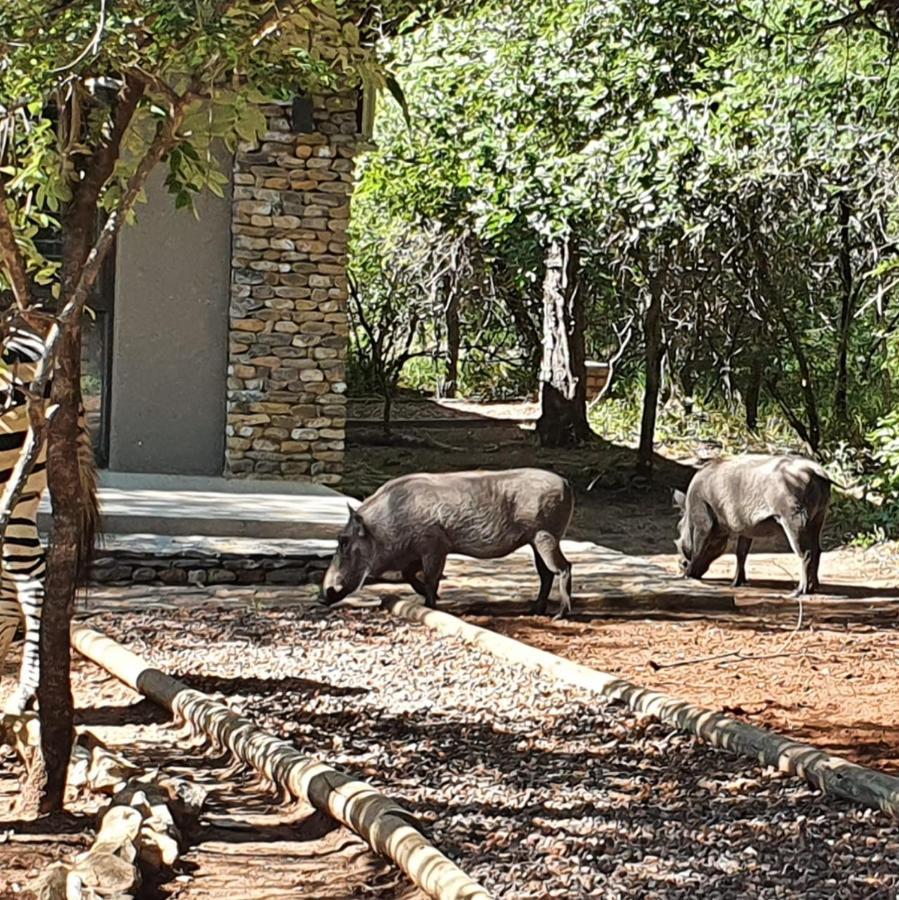 Luvivane Luxury Villa Marloth Park Kültér fotó